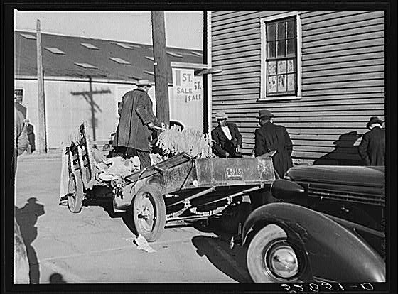 Farmers unloading tobacco from their trailers in front of...
