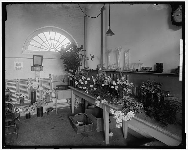 WHITE HOUSE. FLORIST