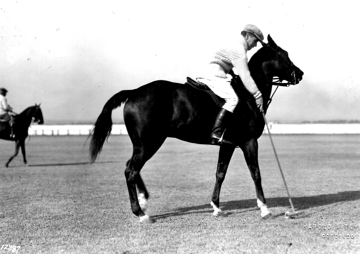 Polo player