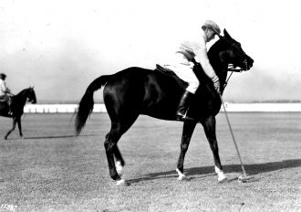 Polo player