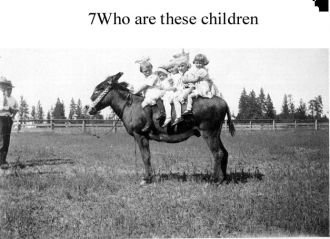 5GirlsOnDonkey