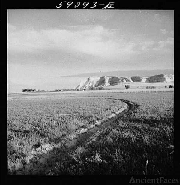 Irrigation ditch through alfalfa field. Scottsbluff in...