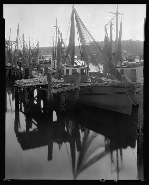 Shrimp fleet in harbor, St. Augustine, St. Johns County,...