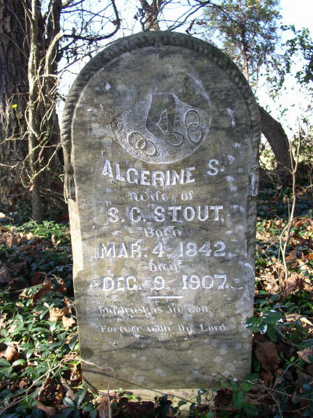 Stout, Algerine S.