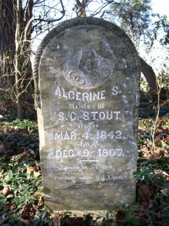 Algerine S. Stout
