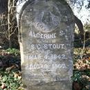 A photo of Algerine S. Stout