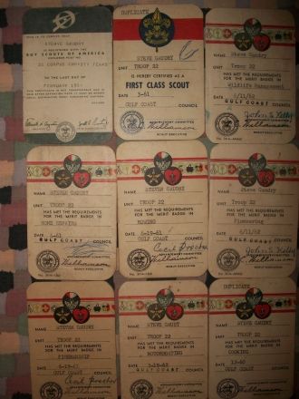 Steven Gaudry Scout cards