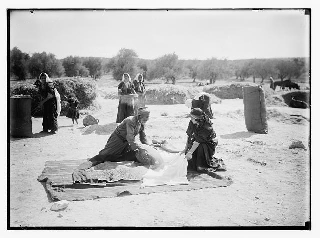 Harvesting and threshing floor scenes in the story of...