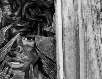 The Wild Child