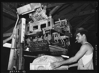Lidding machine used in packing vegetables. Elsa, Texas