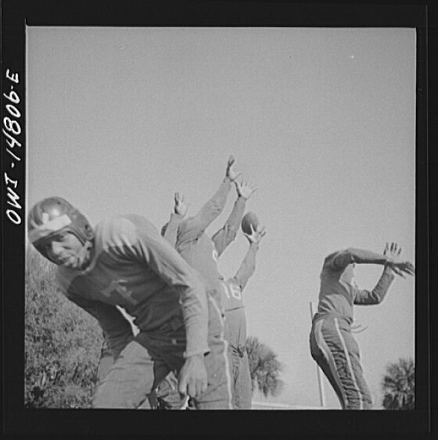 [Untitled]