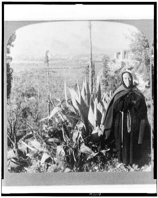 Palermo the beautiful, N. from S. Maria di Gesu to Monte...