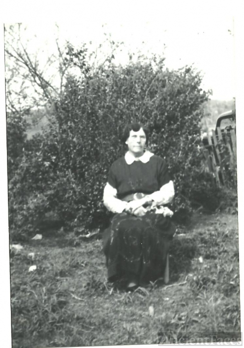 Angeline L. (Daugherty) Vertrees, Kentucky