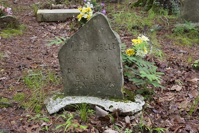 Key Underwood Coon Dog Memorial Graveyard, Colbert...