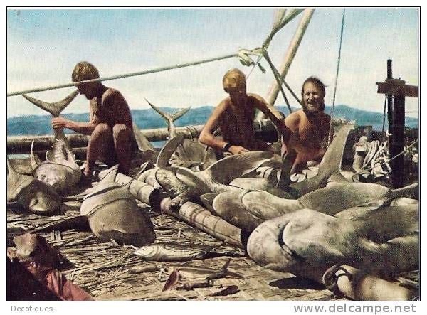 Thor Heyerdahl