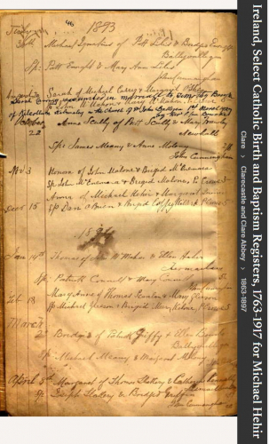 Anna Gertrude (Hehir) Cannon--Ireland, Select Catholic Birth and Baptism Registers, 1763-1917(Dec 1893)