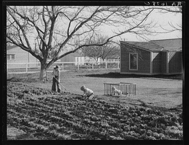 El Monte federal subsistence homesteads. One hundred...
