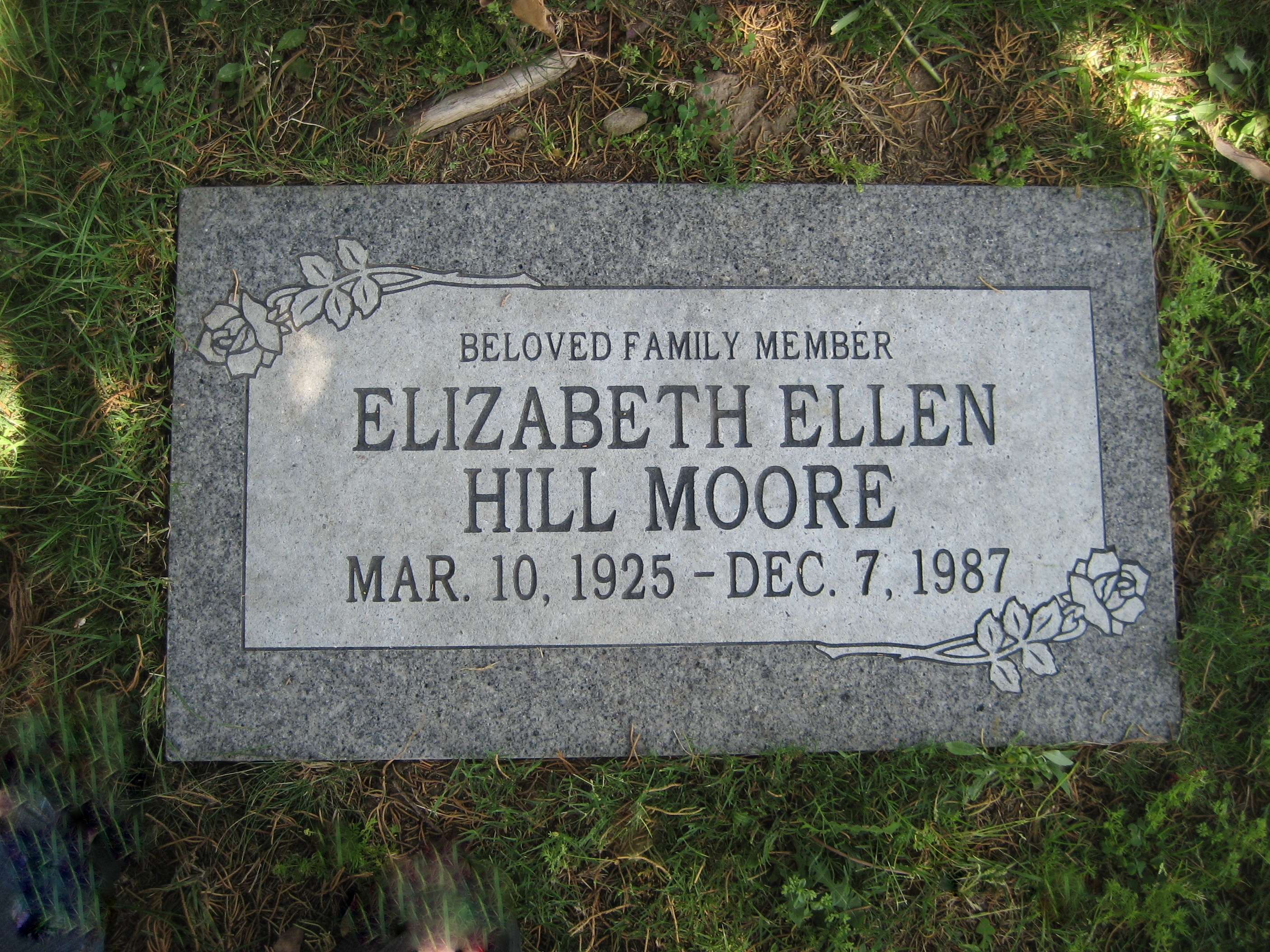 Elizabeth Ellen Hill Moore
