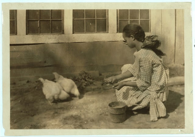 Alice Curtis and her poultry. (See Photo No. 103.)...