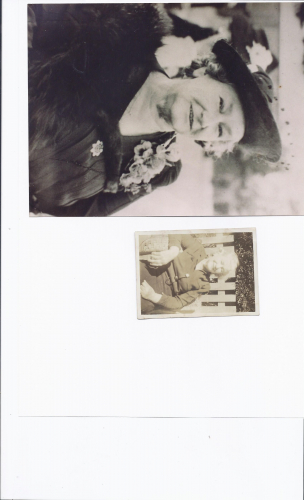 Marie Talbot Monaghan Chandler AKA Hilda Monaghan 1879-1954
paternal grandmother of husband