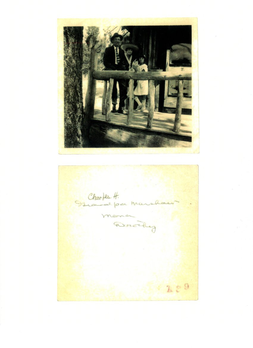 Dorothy M Gioga