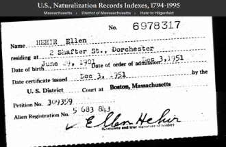 Helen "Nellie" (Supple) Hehir--U.S., Naturalization Records Indexes, 1794-1995(3 dec 1951)