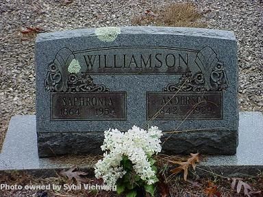 Anderson "Andy" Williamson 1842-1929