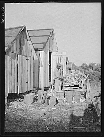 James Bush, FSA (Farm Security Administration) borrower,...