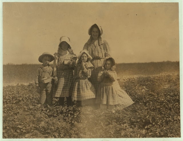 The McNadd family on Truitt's farm at Cannon, Del. Oscar...