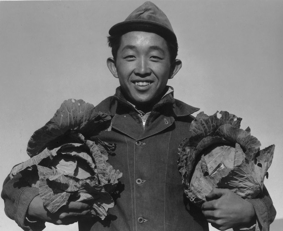 Richard Kobayashi - Prize Cabbage, Manzanar Relocation Camp