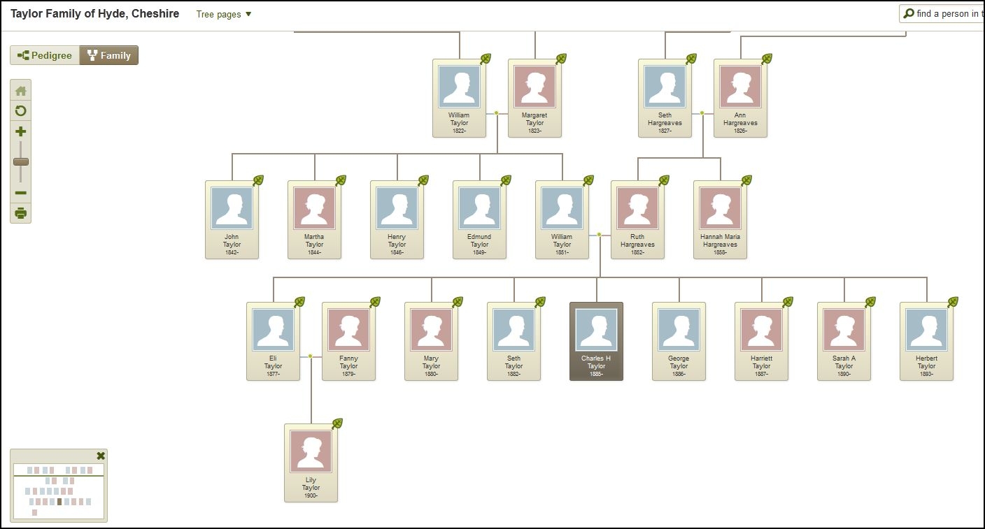 Seth Taylor family tree