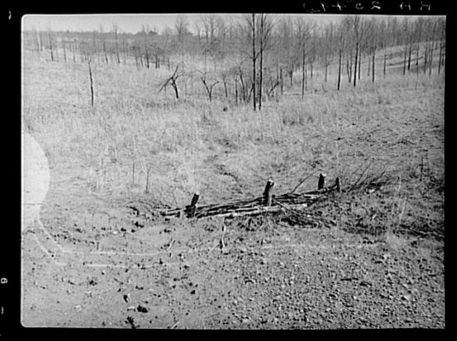 Check brush dam on Coalins Forest and Game Reservation...