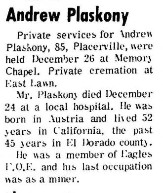 Andrew Plaskony Obituary