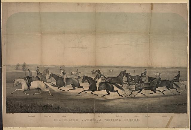 Celebrated American trotting horses / lith. W.H. Rease ;...