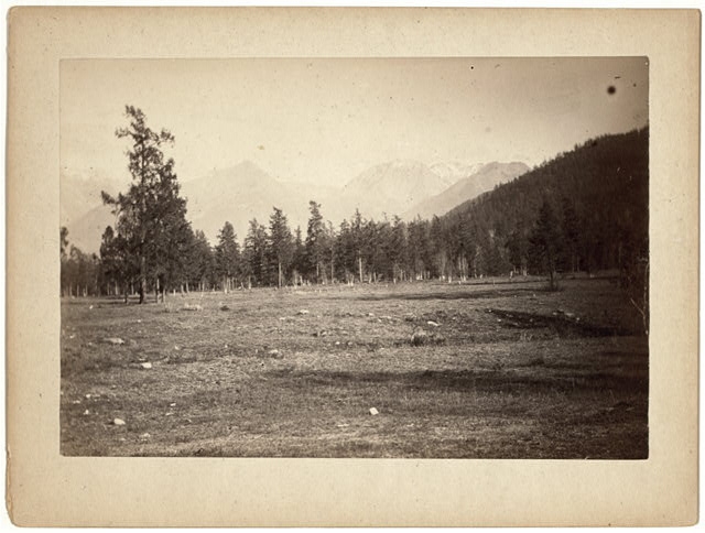 [Altai Mountains near Altai Station]