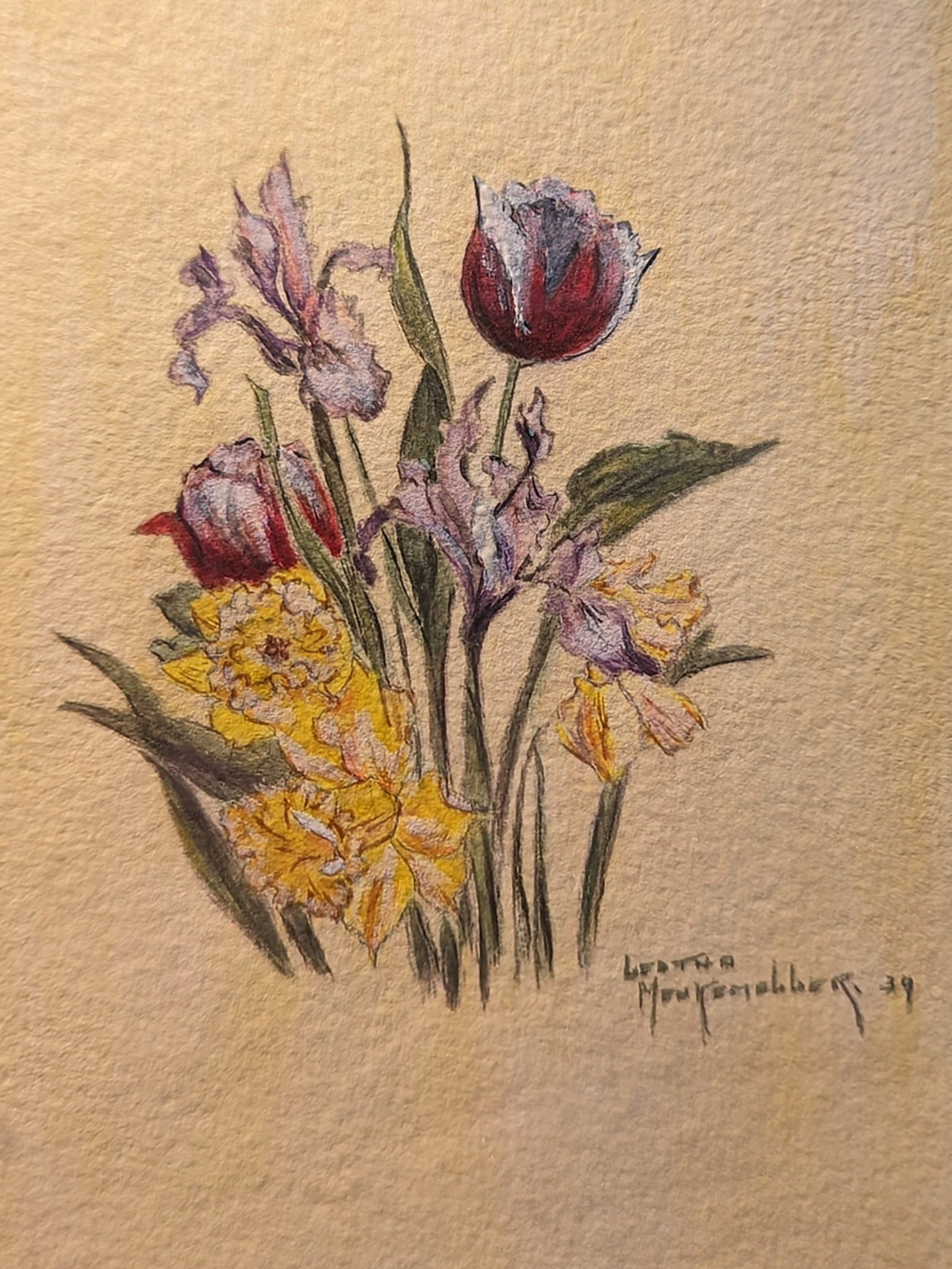 Iris, tulips and daffodils 1939