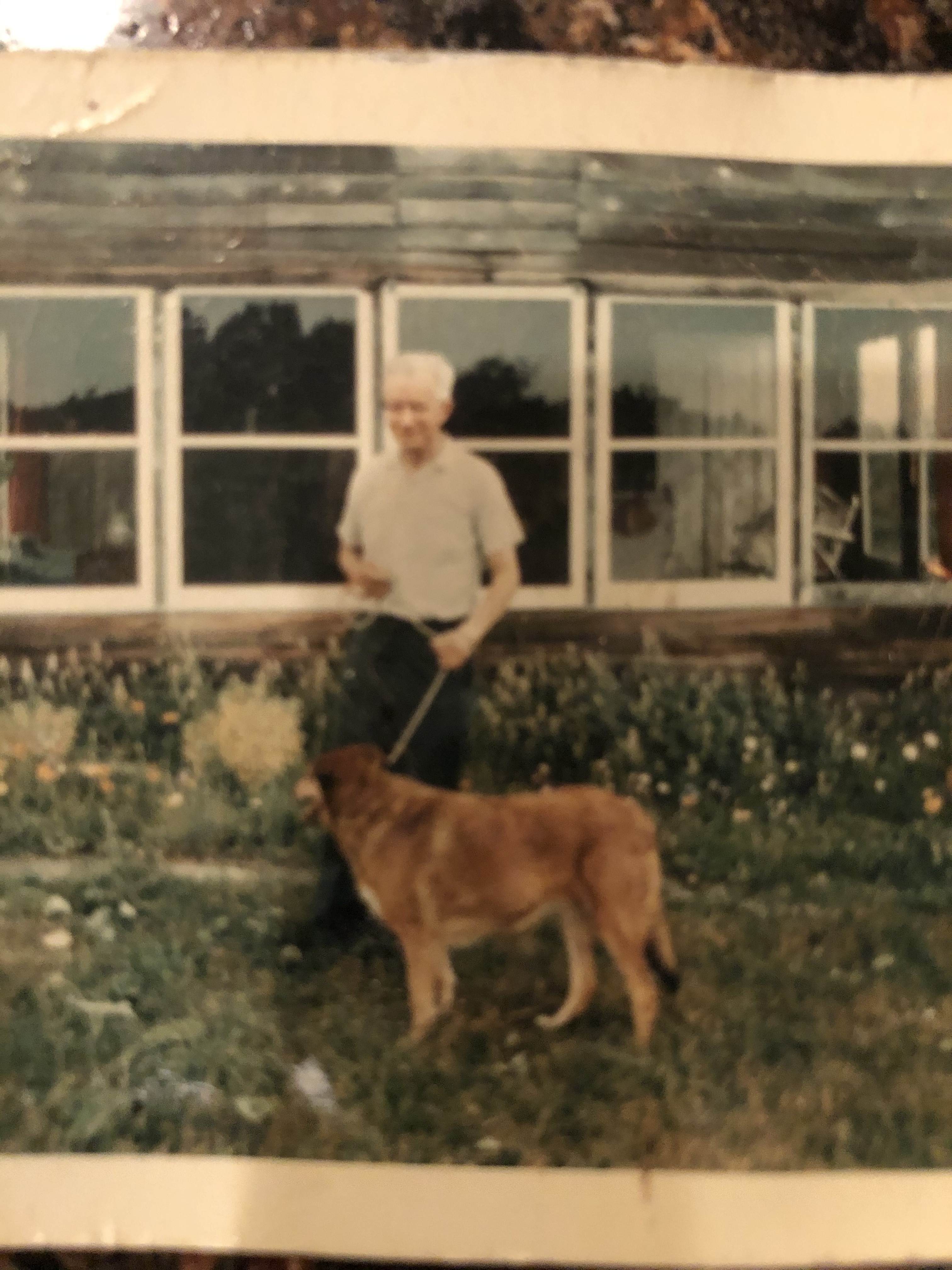 Grandpa with Ginger