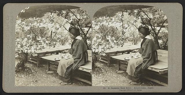 A Japanese sans souci. Arashiyama, Japan