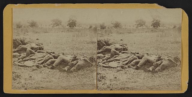 [Dead soldiers lying side by side in a field]