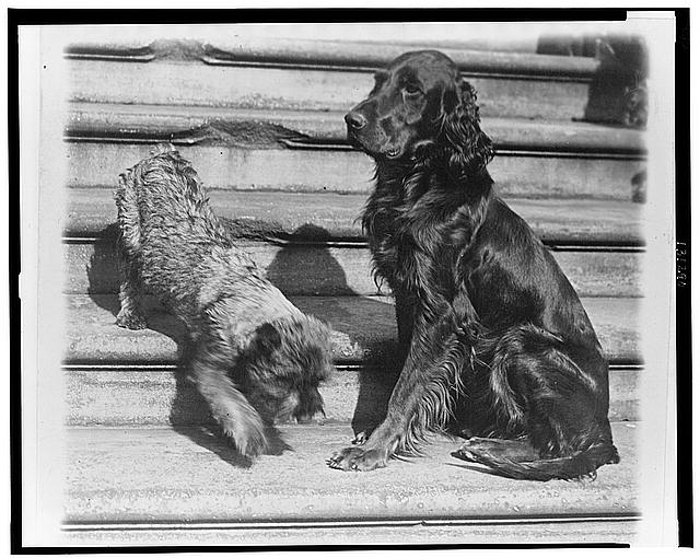 Whoopie and Englehurst Gillette two of the White House...