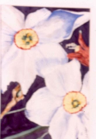 Dogwood flower closeup - Fred Halkett watercolor