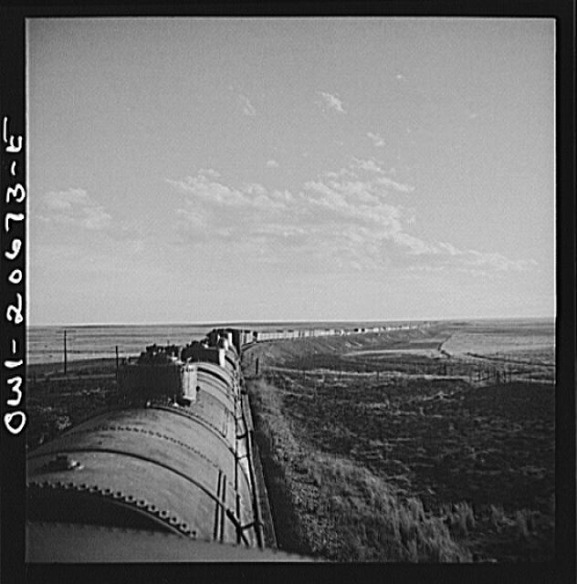 Duoro, New Mexico. Rounding a curve in the sheep and...