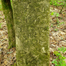 A photo of Ulysses Copeland 