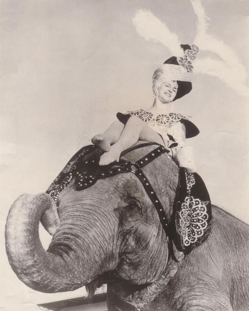 Donna Gautier 