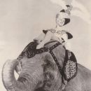 A photo of Donna Gautier