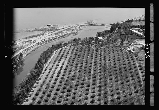 Air views of Palestine. Outflow of the River Jordan....