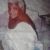 Mary Millings