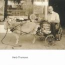 A photo of Herb F Thomson