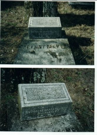 Elizabeth Andrews Hayes Parker grave