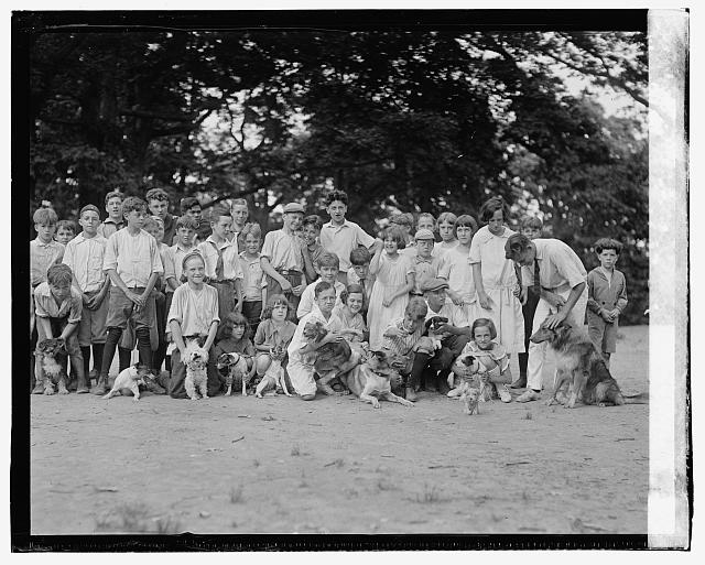Montrose play grounds, [7/11/23]